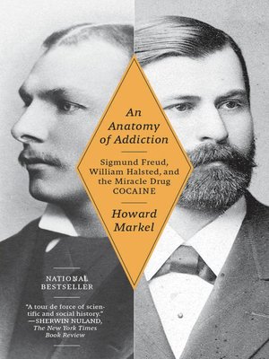 cover image of An Anatomy of Addiction